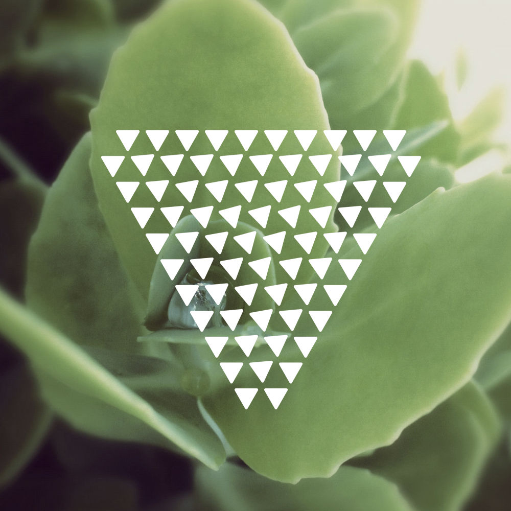 Image of Zen Lattice